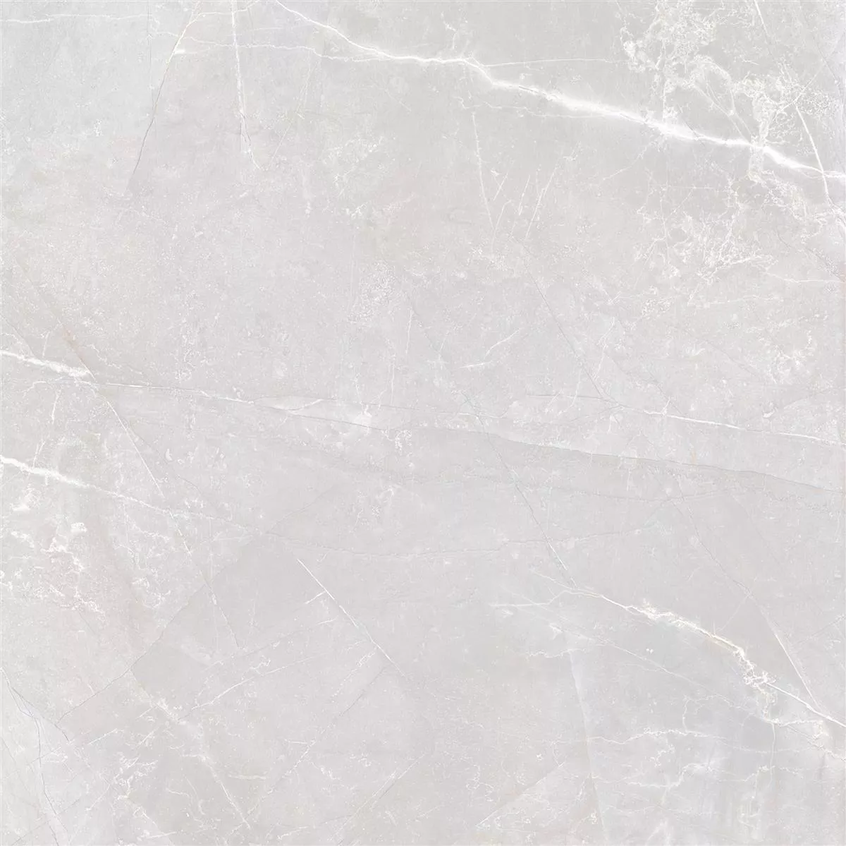 Floor Tiles XXL Lowland Polished Light Grey 60x60cm