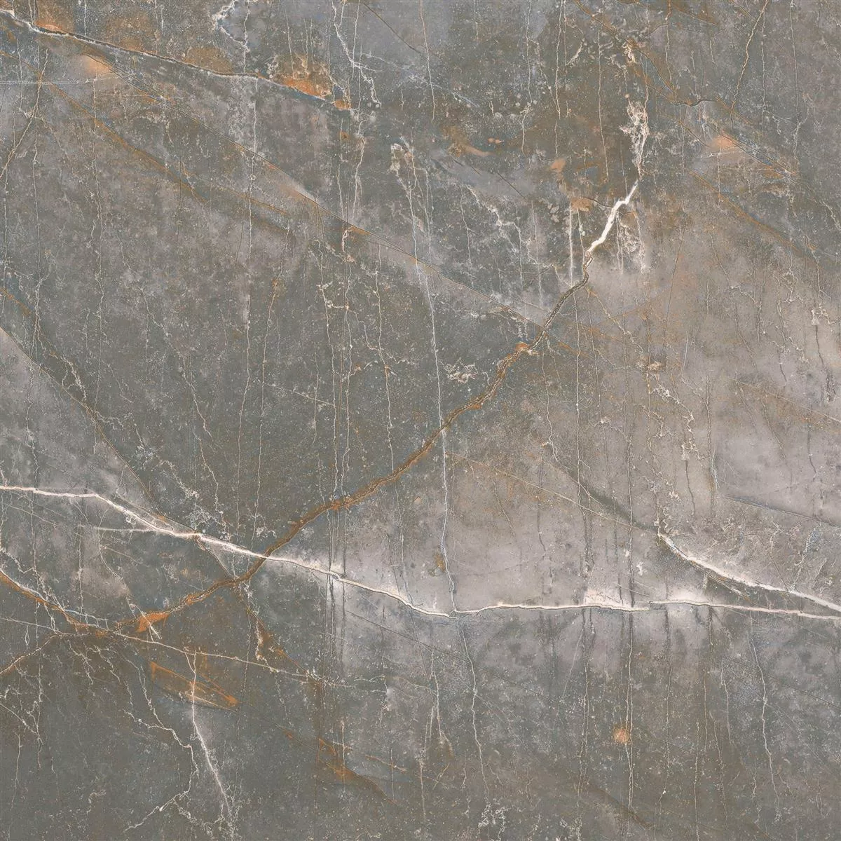 Floor Tiles Novinger Natural Stone Optic Polished Grey