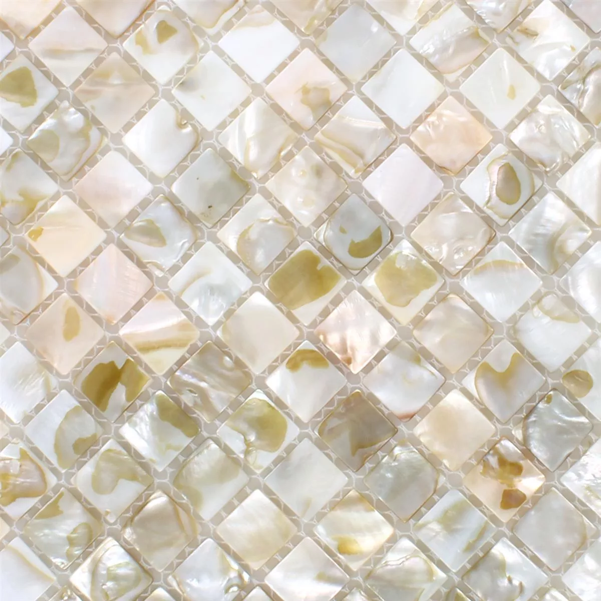 Mosaic Tiles Shell Kordon Light Beige