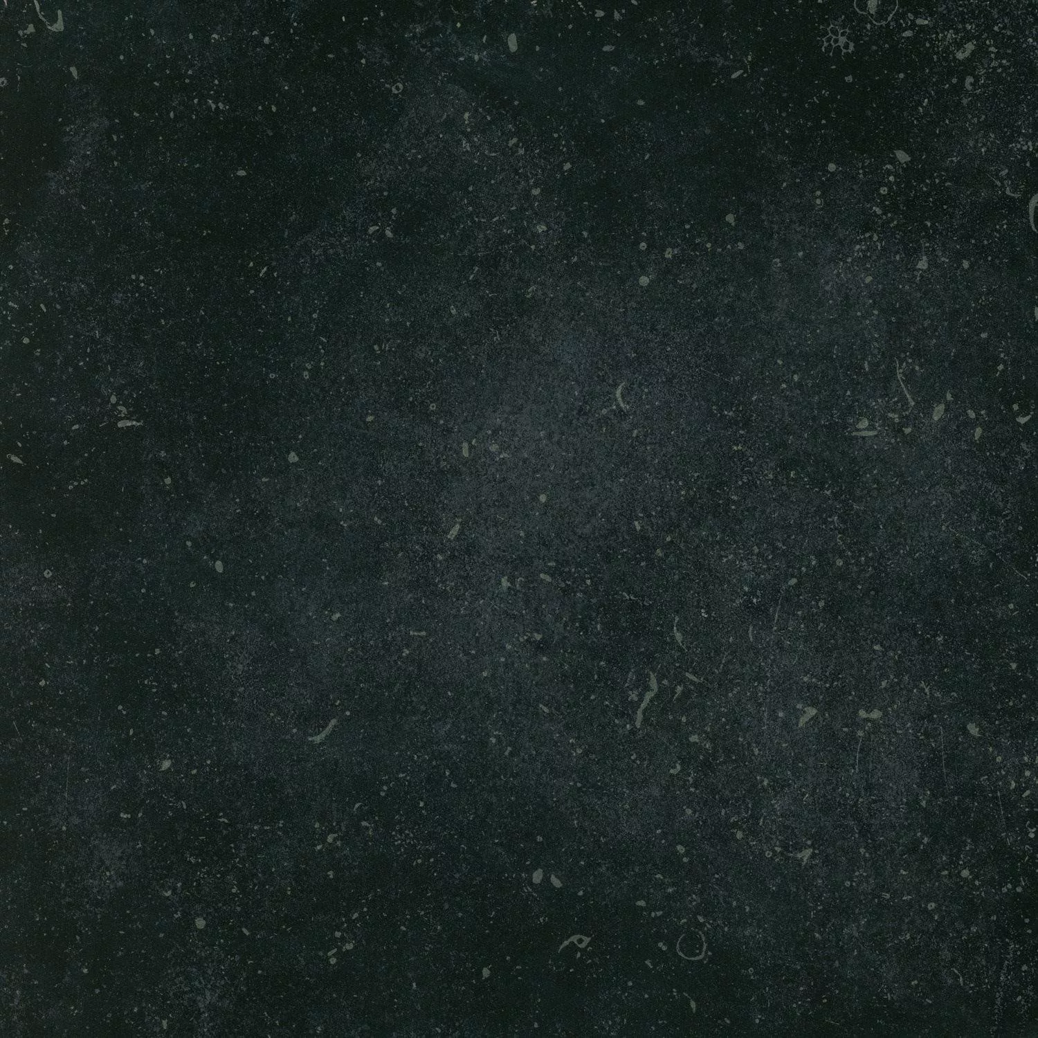 Floor Tiles Wilhelm Bluestone Limestone Optic Black