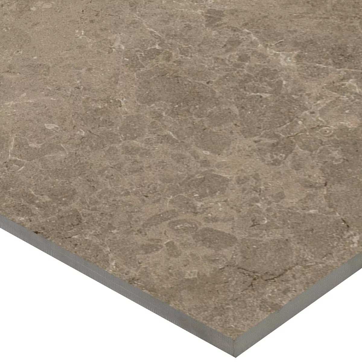 Terrace Tiles Porcelain Stoneware Arizona Taupe 60x60x2 cm