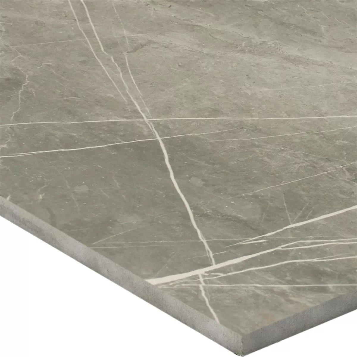 Floor Tiles Astara Natural Stone Optic Polished Grey 60x60cm