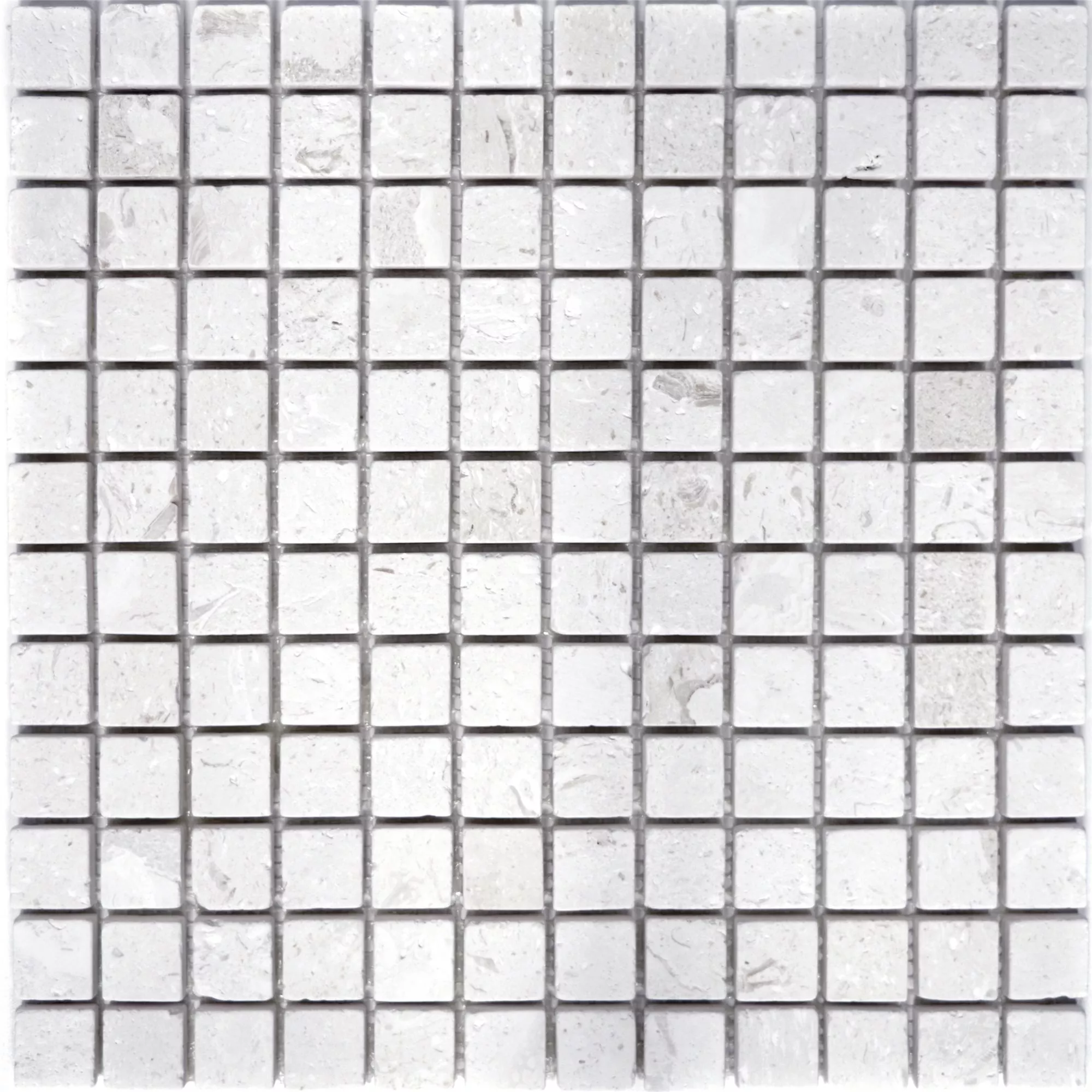 Sample Mosaic Tiles Limestone Allerona White 23