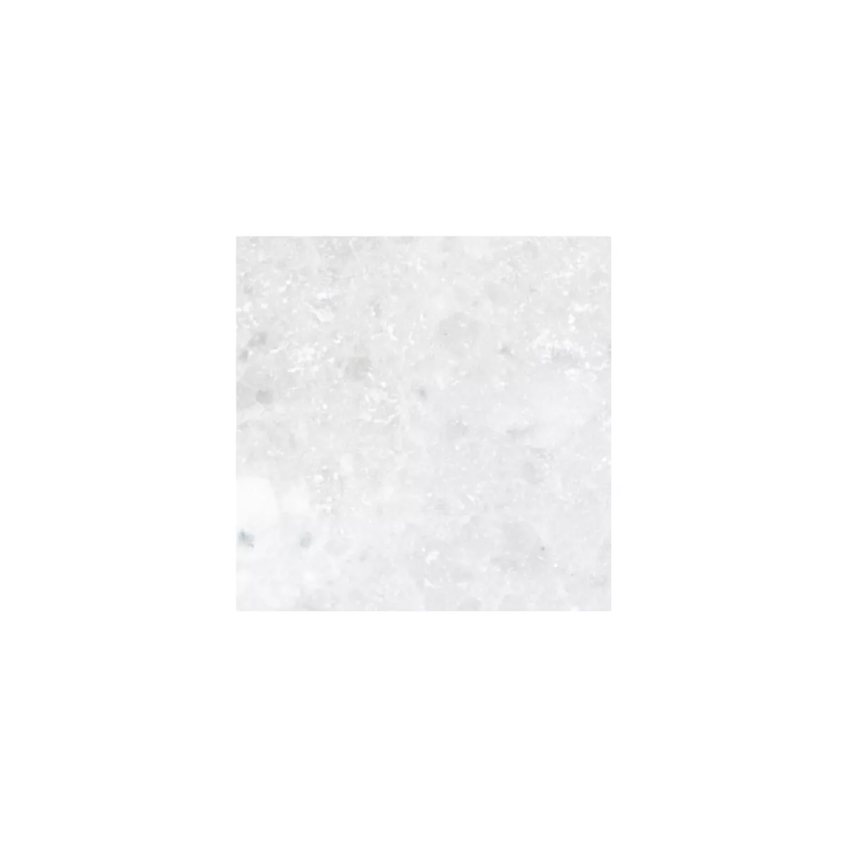 Sample Natural Stone Tiles Marble Treviso White 30,5x30,5cm