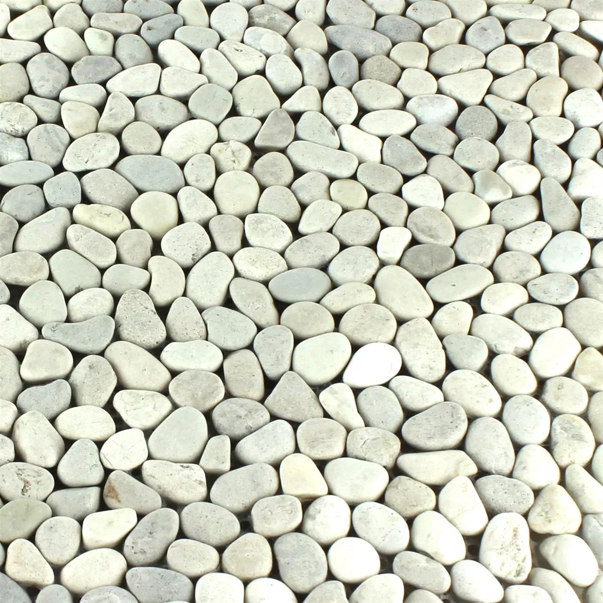Sample River Pebbles Micro Mosaic Beige