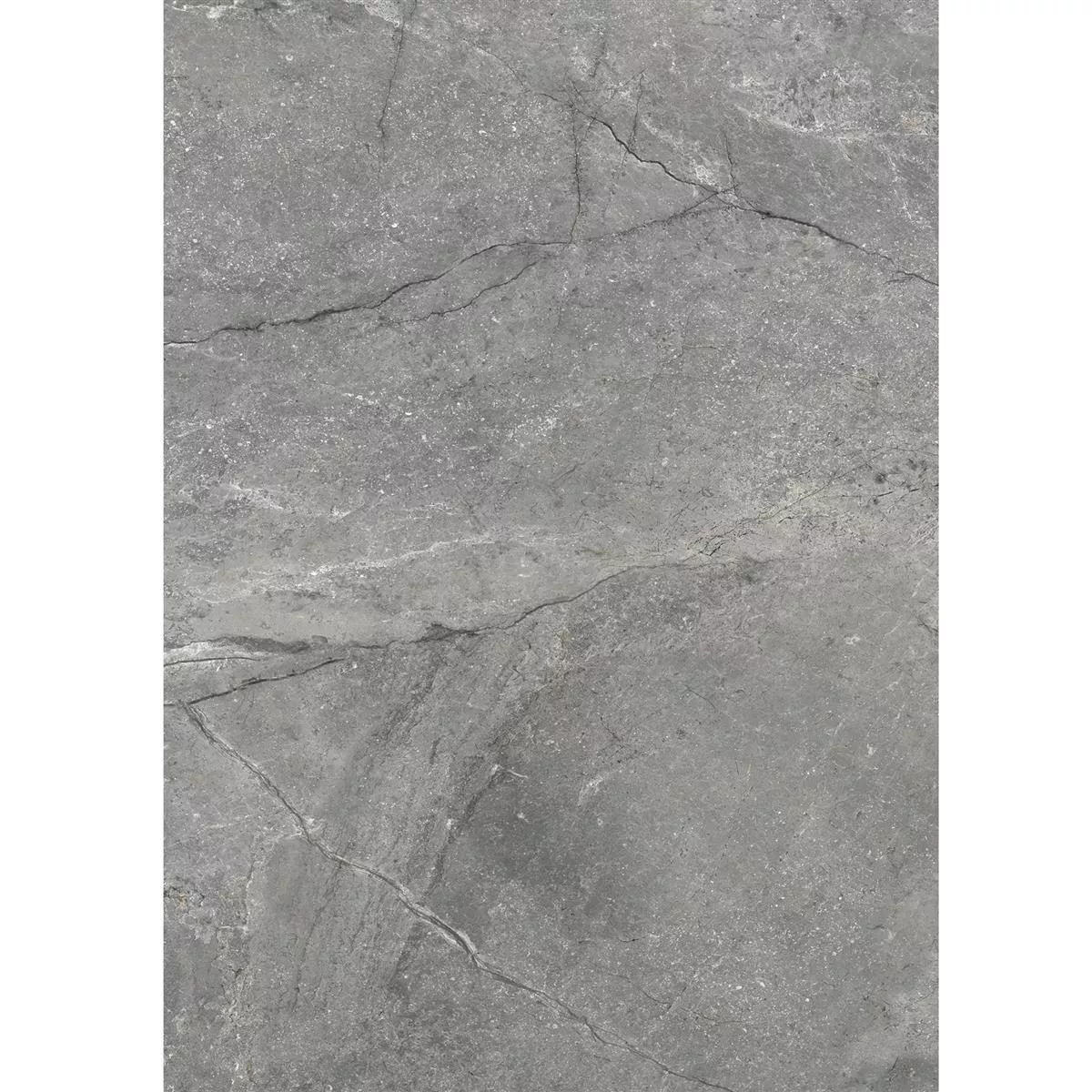 Floor Tiles Pangea Marble Optic Mat Grey 60x120cm