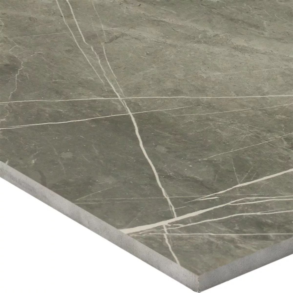 Floor Tiles Astara Natural Stone Optic Polished Mist 30x60cm