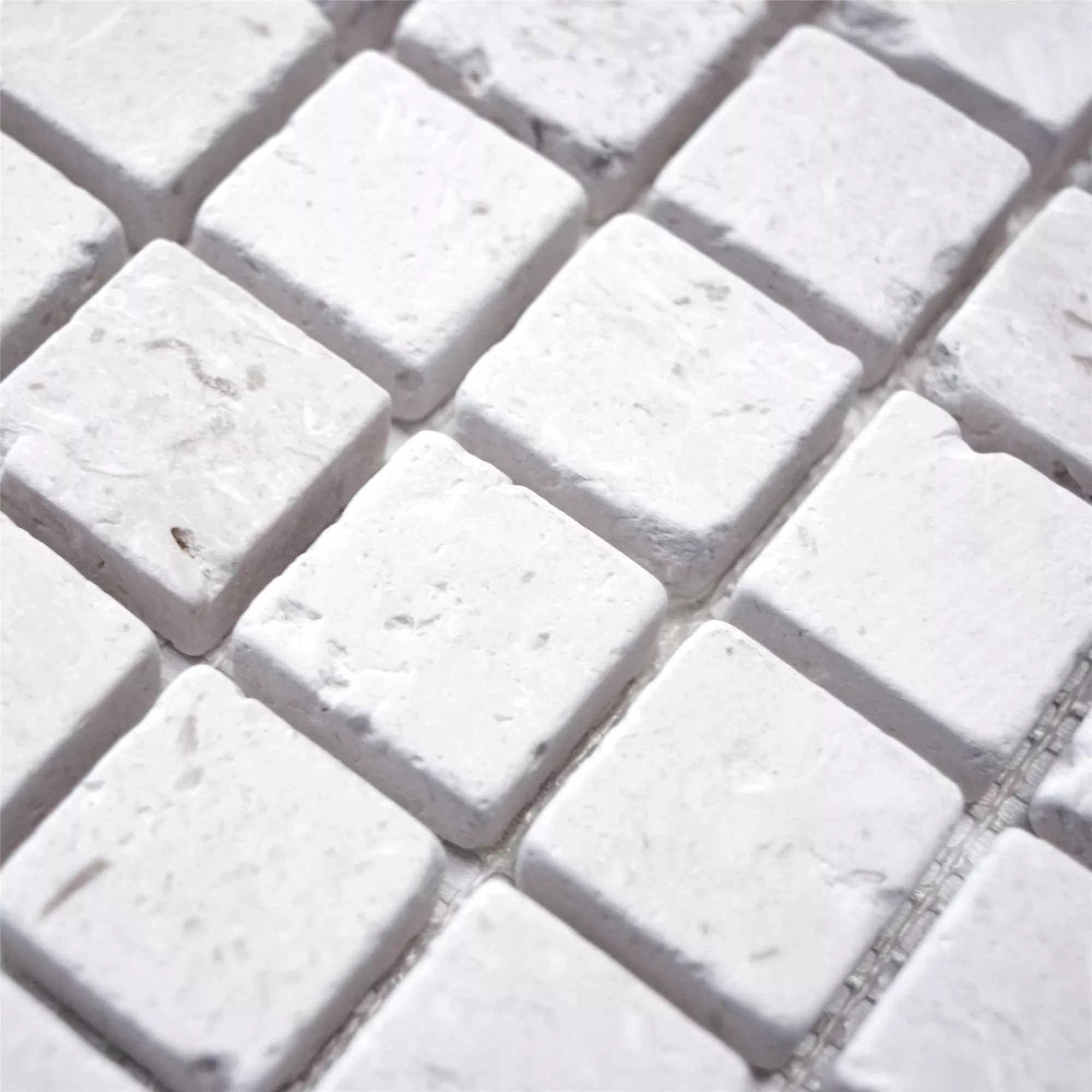 Sample Mosaic Tiles Limestone Allerona White 23