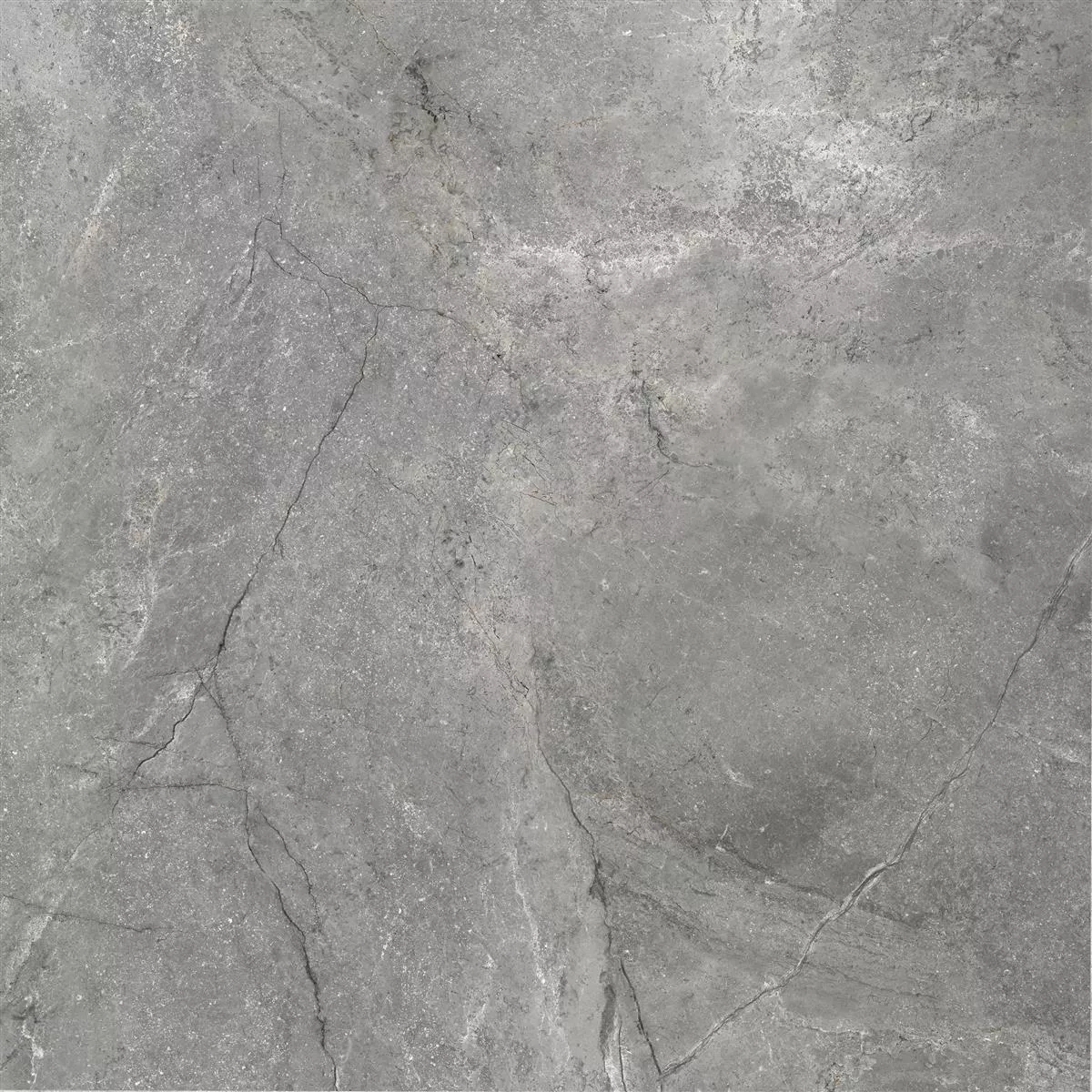Floor Tiles Pangea Marble Optic Polished Grey 120x120cm