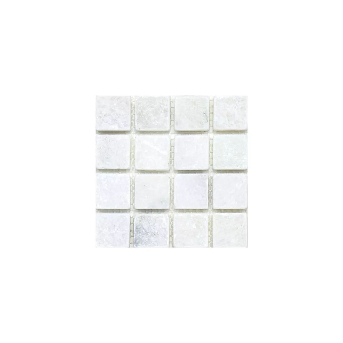 Sample Mosaic Tiles Marble Treviso White