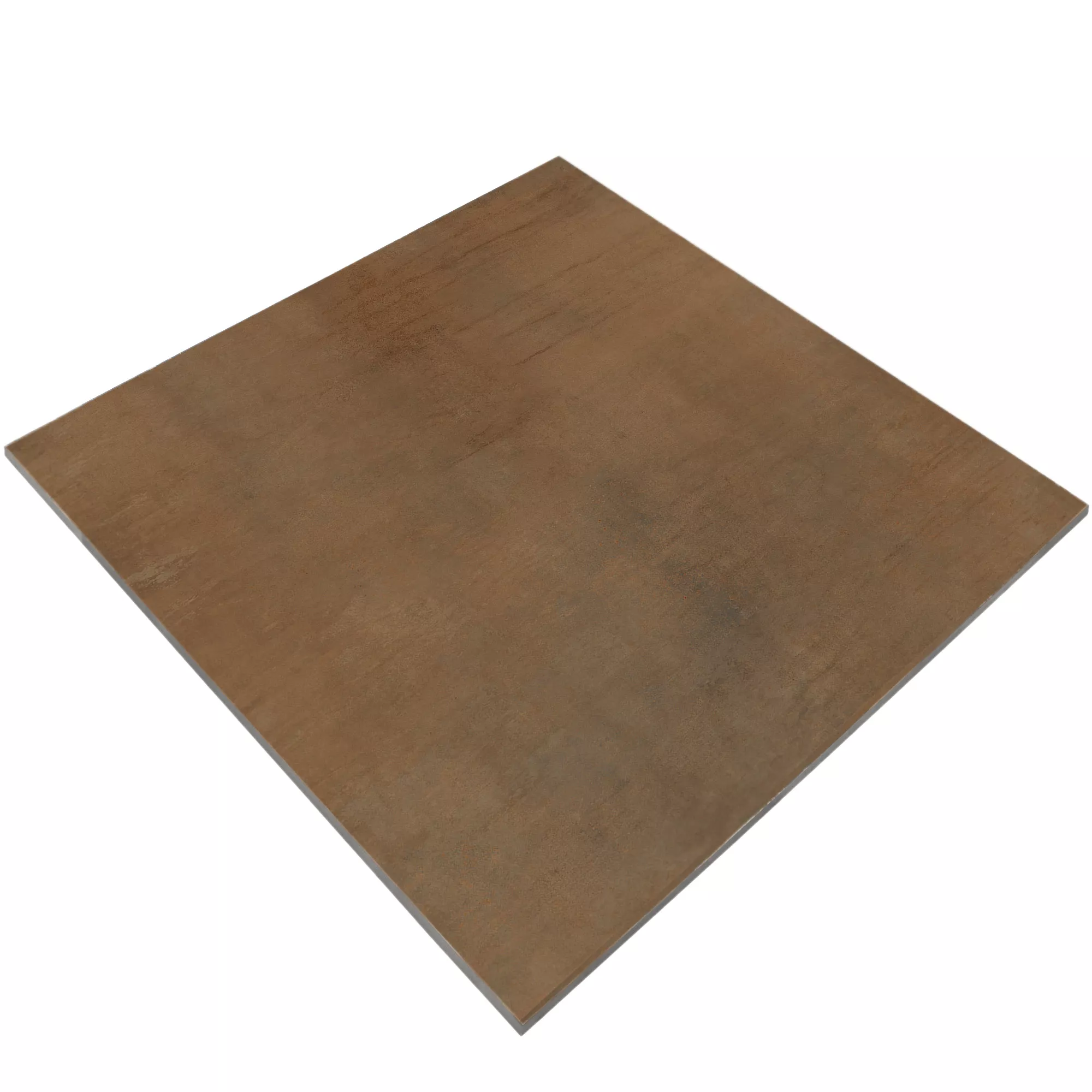 Floor Tiles Tycoon Beton Optic R10 Brown 120x120cm