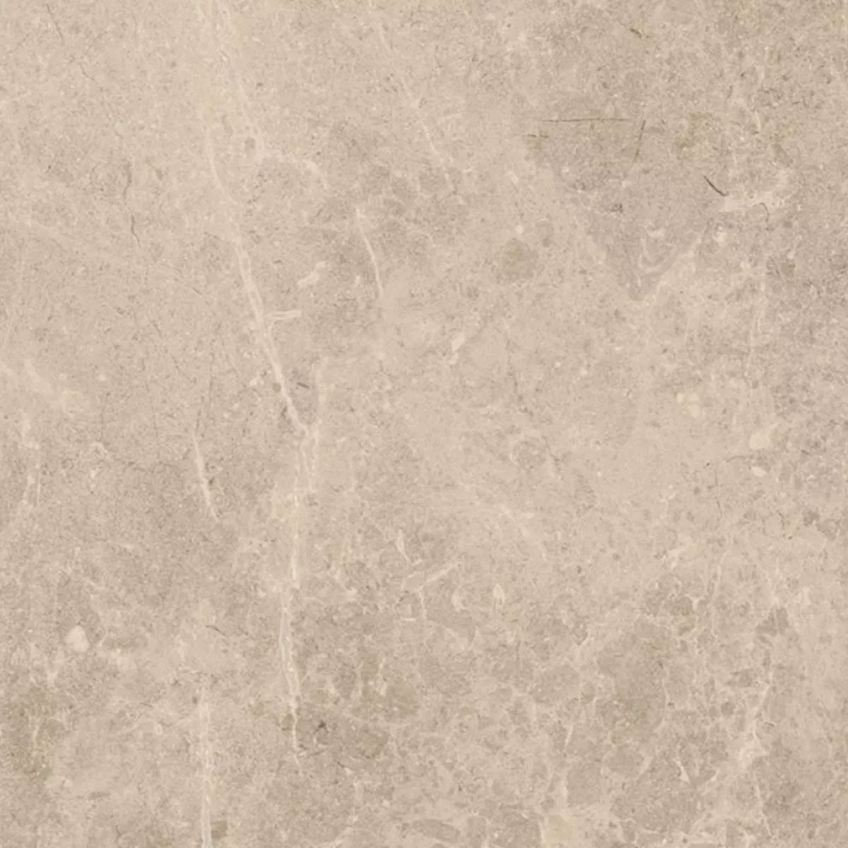 Terrace Tiles Porcelain Stoneware Arizona Beige 60x60x2 cm Terrace Tiles Porcelain Stoneware Arizona Beige 60x60x2 cm
