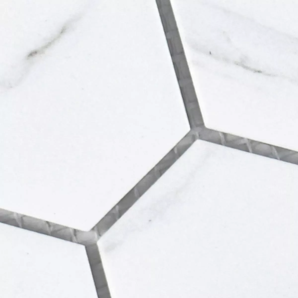 Sample Ceramic Mosaic Tiles Zyrus Carrara Hexagon 
