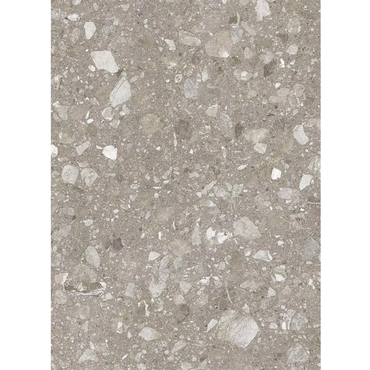 Floor Tiles Porcelain Stoneware Lugano Grey 60x120 cm