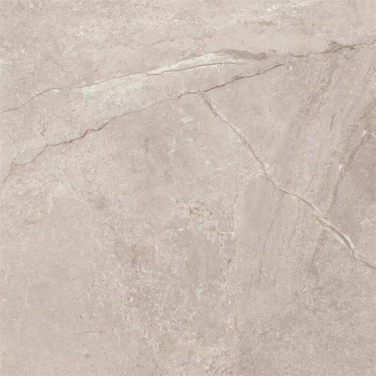 Sample Floor Tiles Pangea Marble Optic Mat Beige 120x120cm