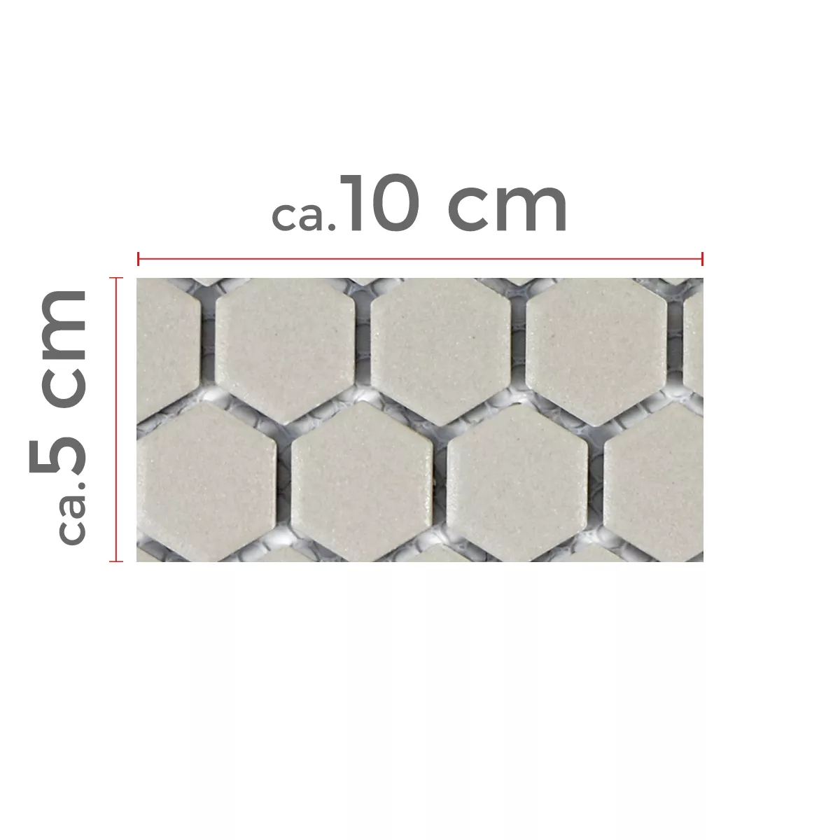 Sample Ceramic Mosaic Tiles Hexagon Zeinal Unglazed Light Grey R10B