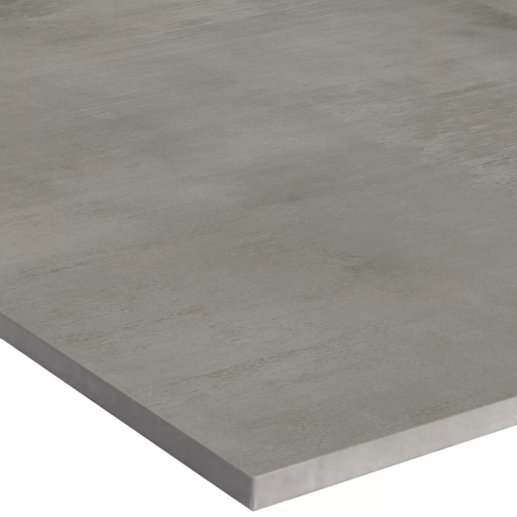 Floor Tiles Tycoon Beton Optic R10 Platinum 60x120cm