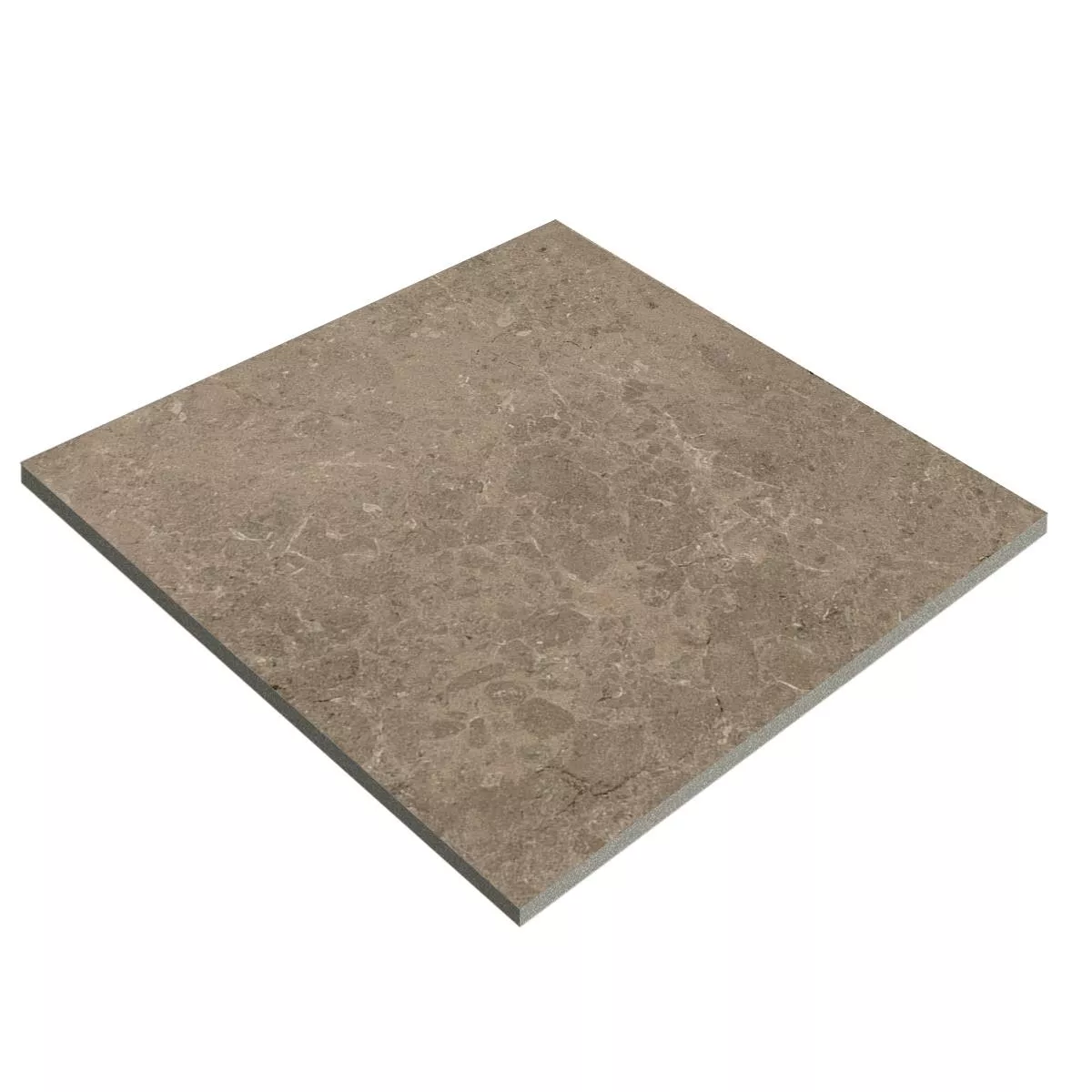 Terrace Tiles Porcelain Stoneware Arizona Taupe 60x60x2 cm