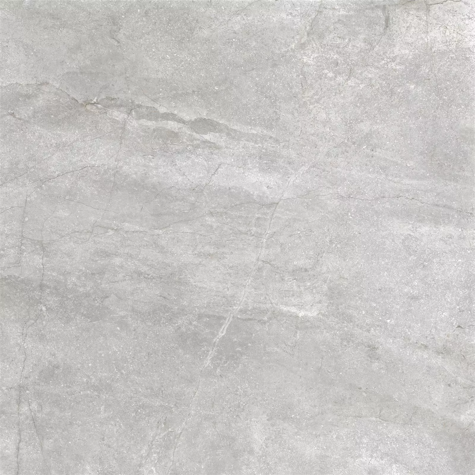Floor Tiles Noiron Mat Polished Silver 60x60cm Floor Tiles Noiron Mat Polished Silver 60x60cm