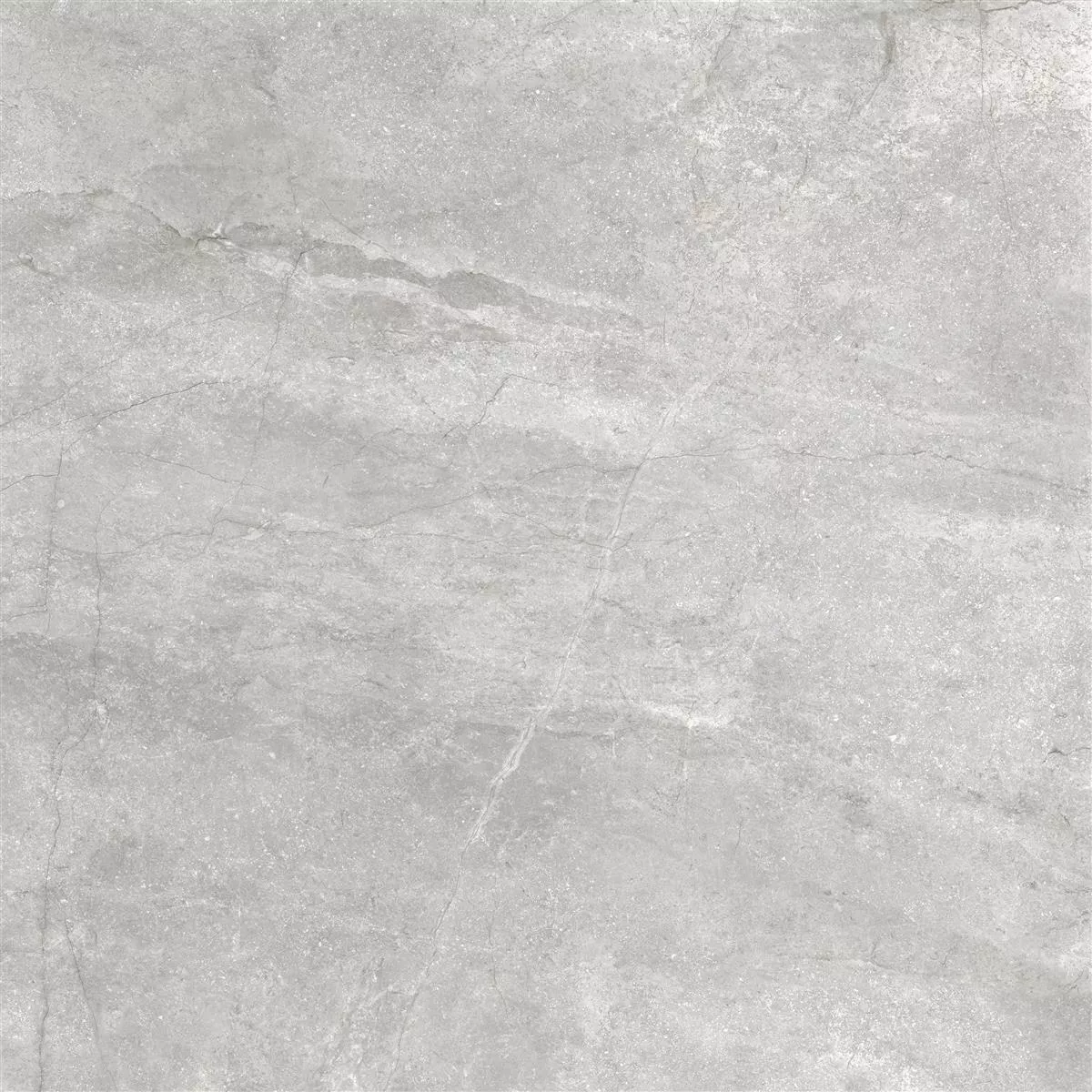 Floor Tiles Pangea Marble Optic Mat Silver 60x60cm