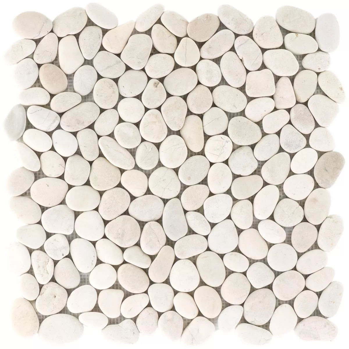 Sample Pebble Mosaic Tiles Xanthos White