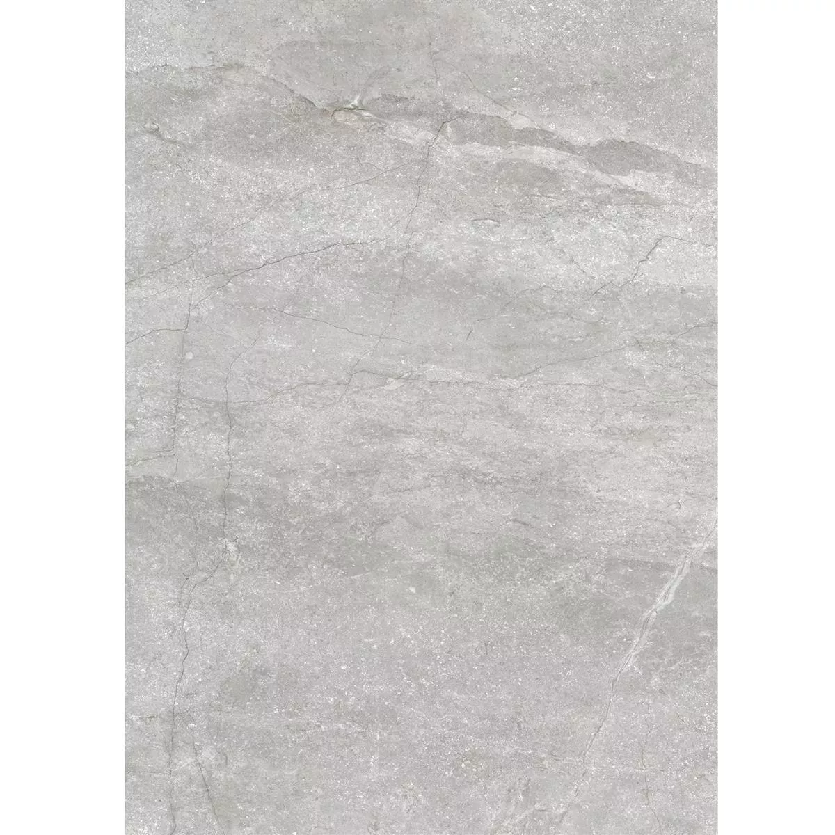 Sample Floor Tiles Pangea Marble Optic Mat Silver 60x120cm