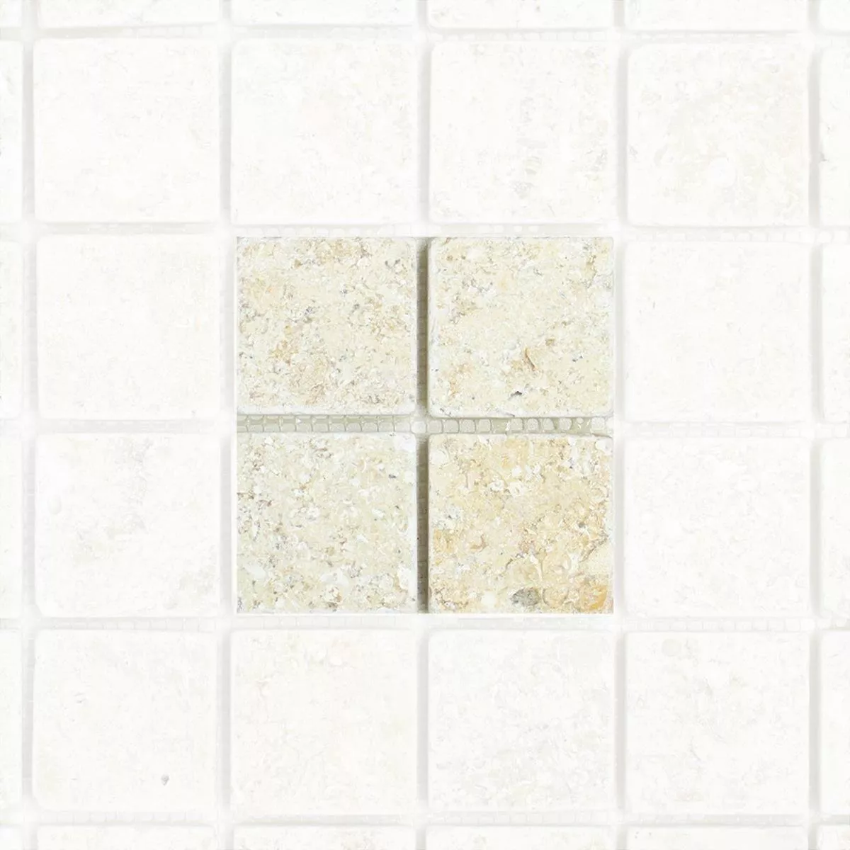 Sample Mosaic Tiles Limestone Garbagna Beige 48