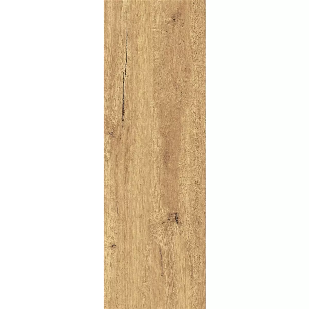 Floor Tiles Riverside Wood Optic Brown 20x120 cm