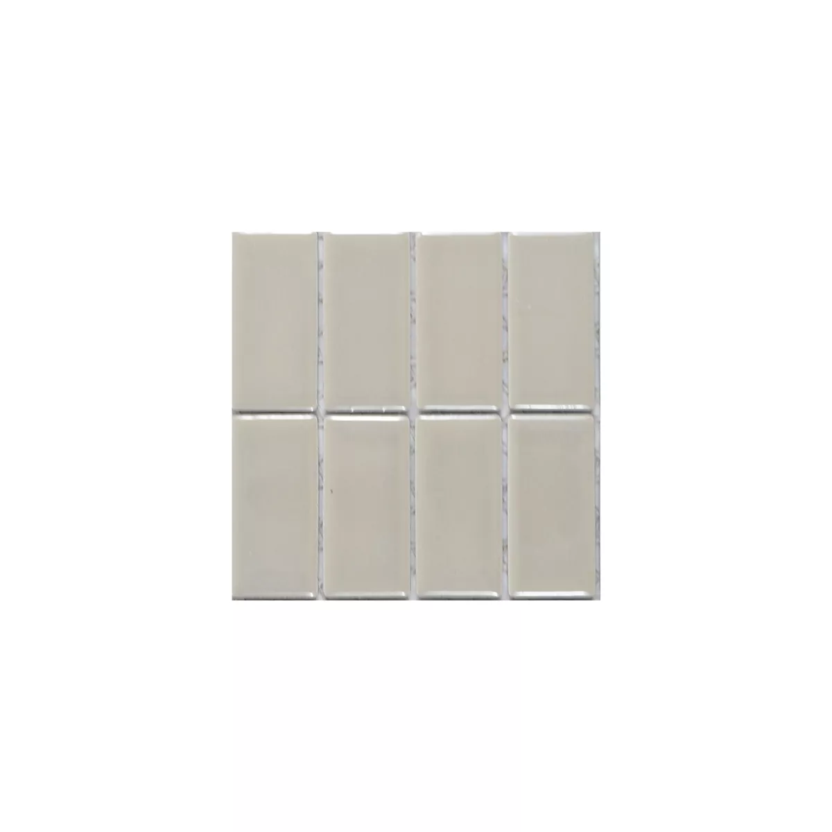 Sample Ceramic Mosaic Tiles Adrian Mud Glossy Rectangle