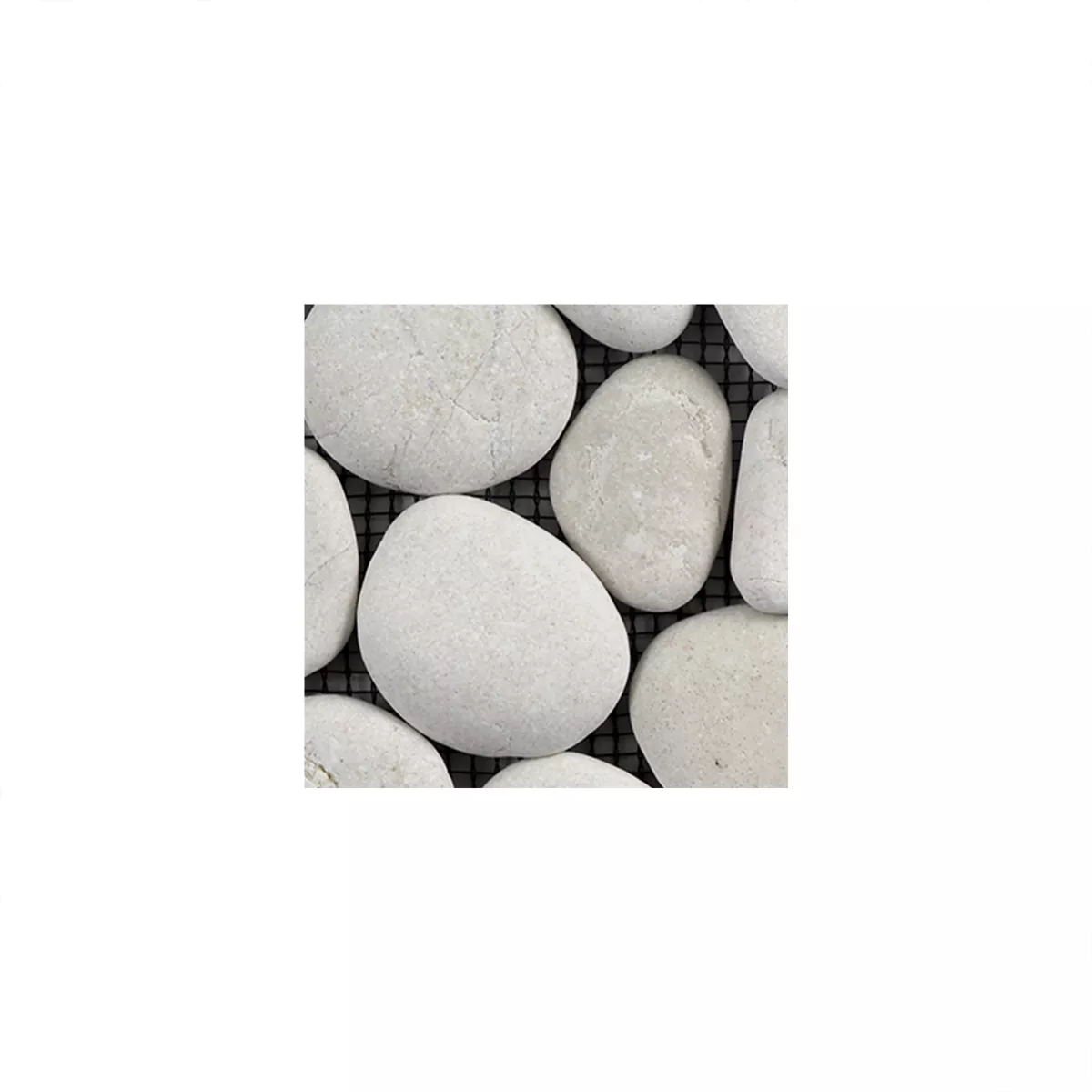 Sample Mosaic Tiles River Pebbles Natural Stone Doha White
