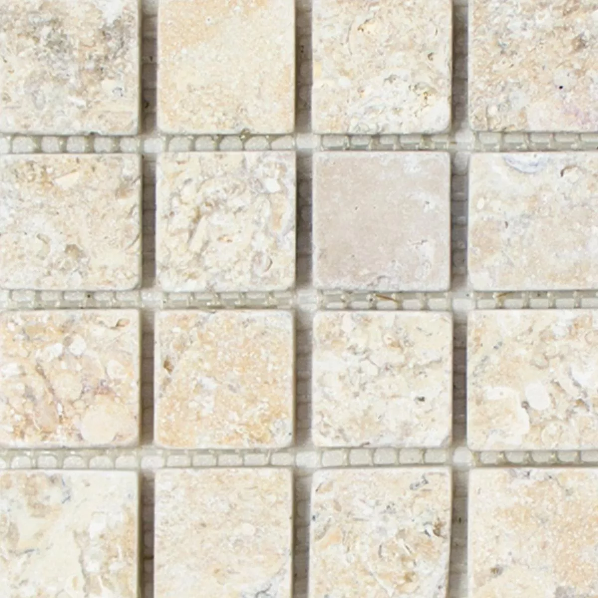 Sample Mosaic Tiles Limestone Garbagna Beige 23
