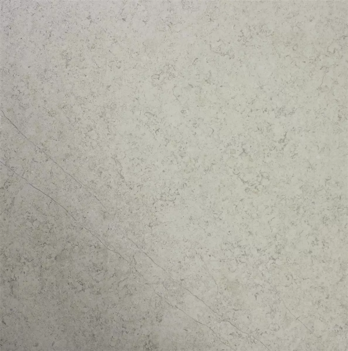 Sample Floor Tiles Stone Optic Shaydon Grey 60x60cm