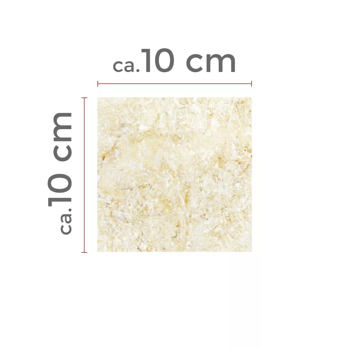 Sample Natural Stone Tiles Limestone Garbagna Beige 10x10cm