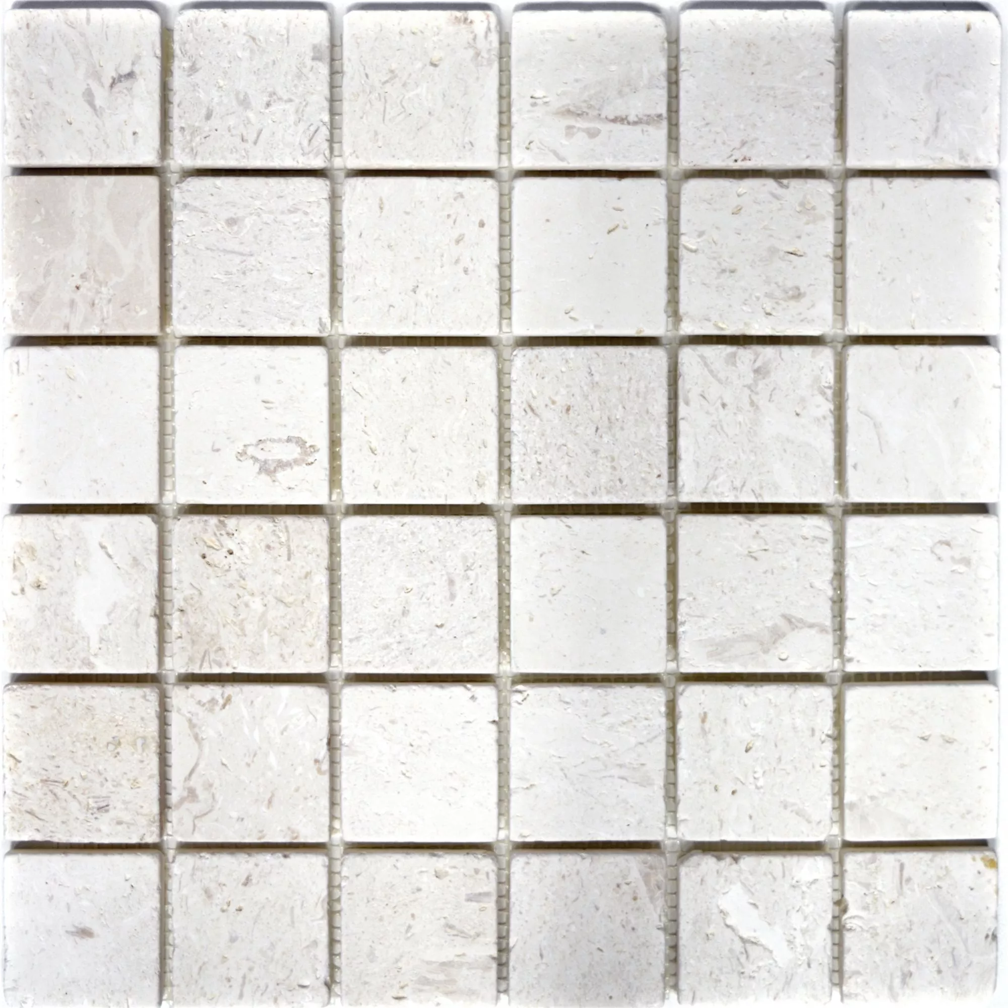 Sample Mosaic Tiles Limestone Allerona White 48