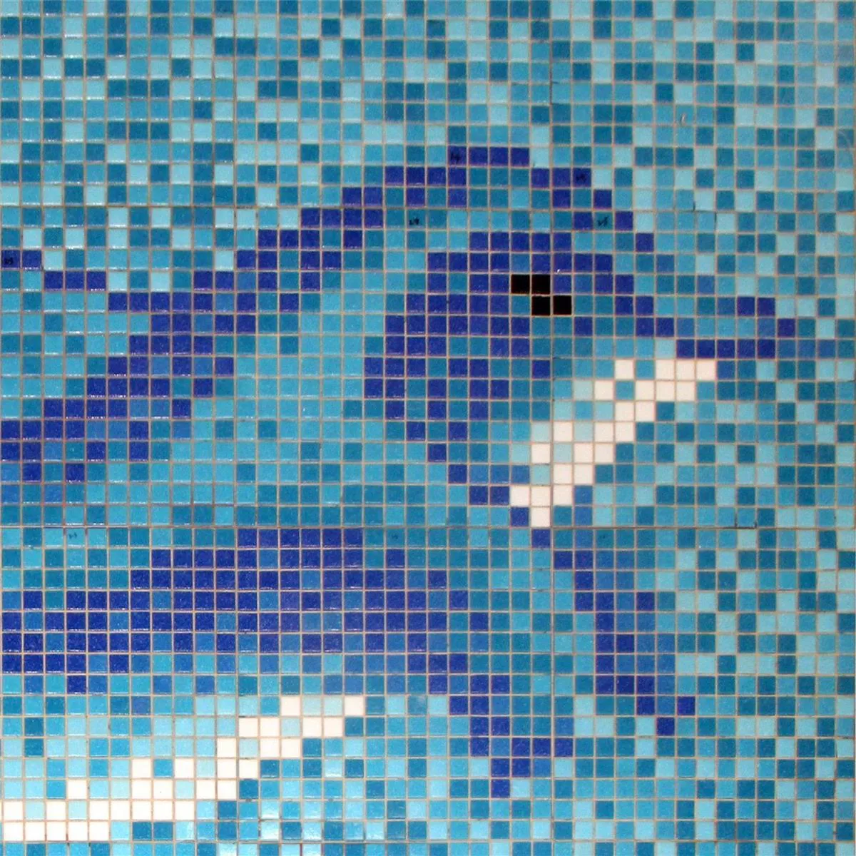 Swimming Pool Mosaic Delphin Pasted on Paper