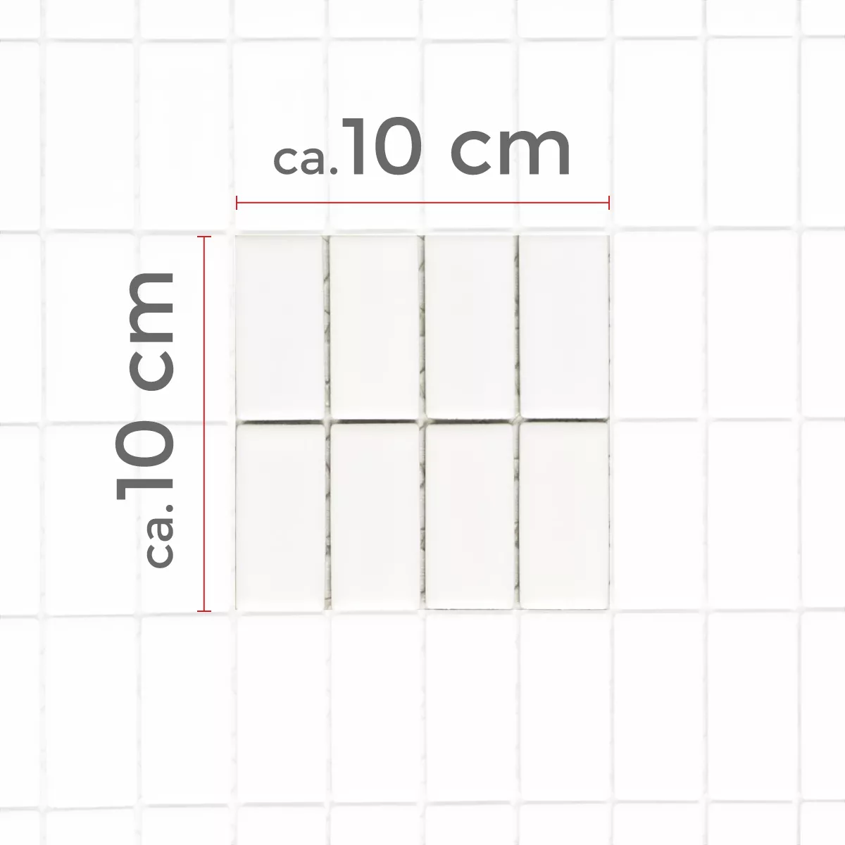 Sample Ceramic Mosaic Tiles Adrian White Glossy Rectangle