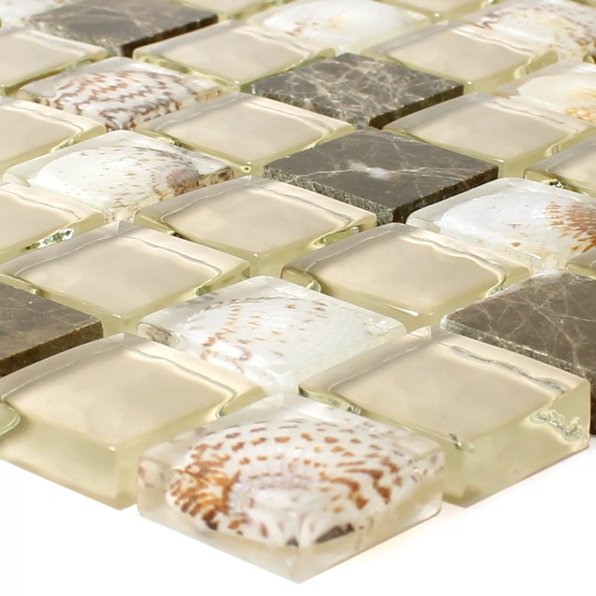 Sample Glass Mosaic Natural Stone Tiles Tatvan Shell Brown Beige