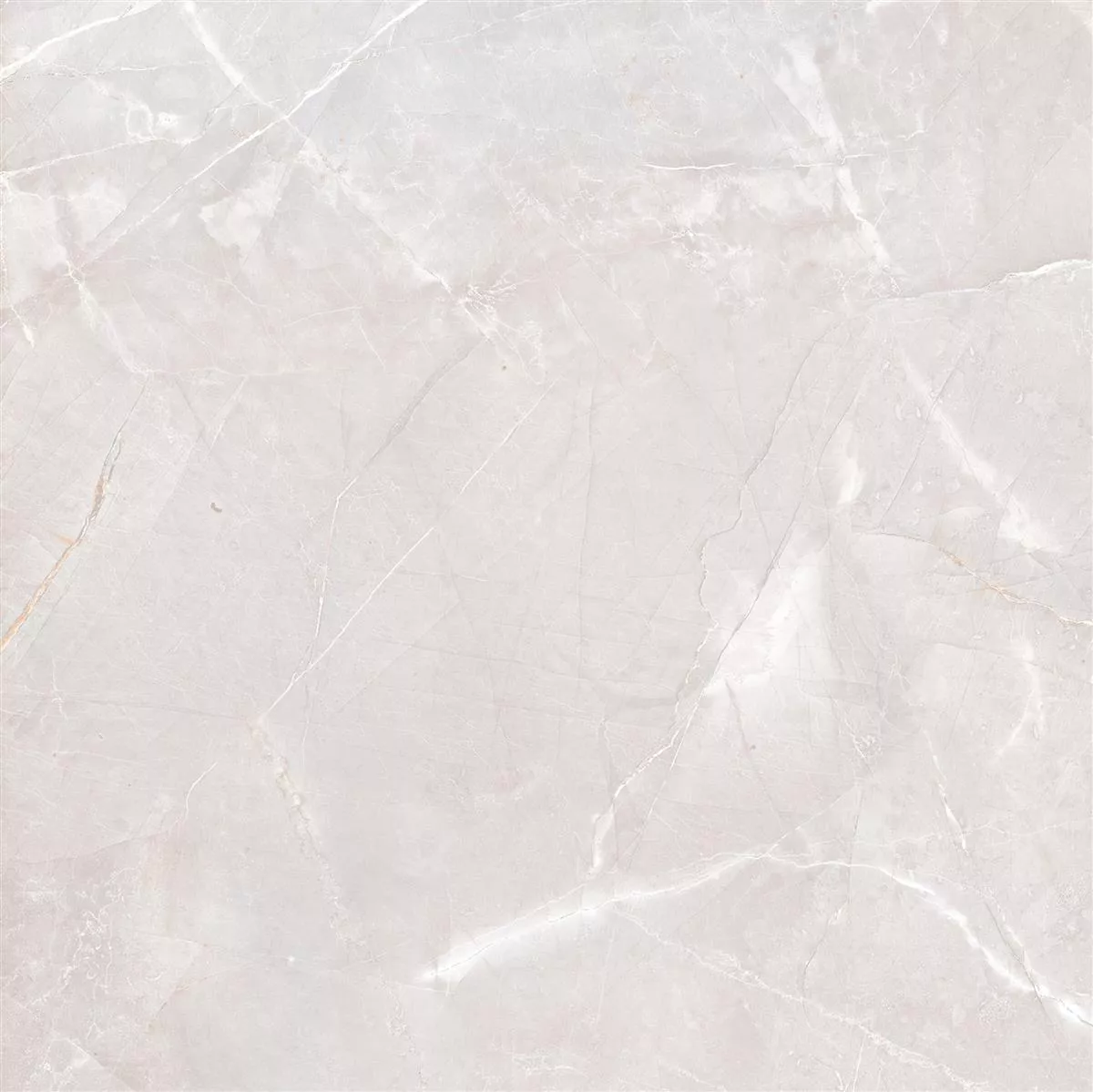 Floor Tiles XXL Lowland Polished Light Grey 60x60cm