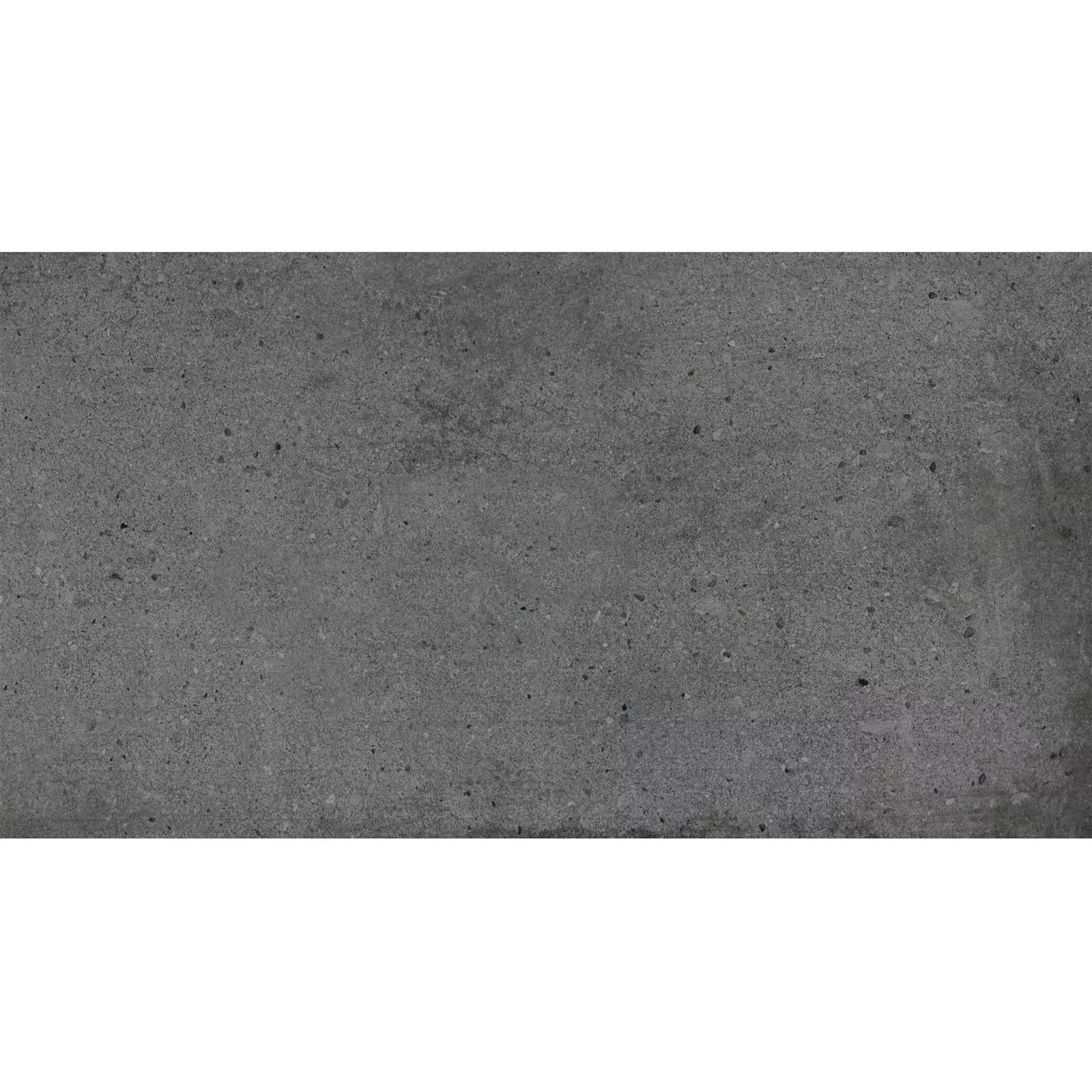 Sample Floor Tiles Freeland Stone Optic R10/B Anthracite 30x60cm
