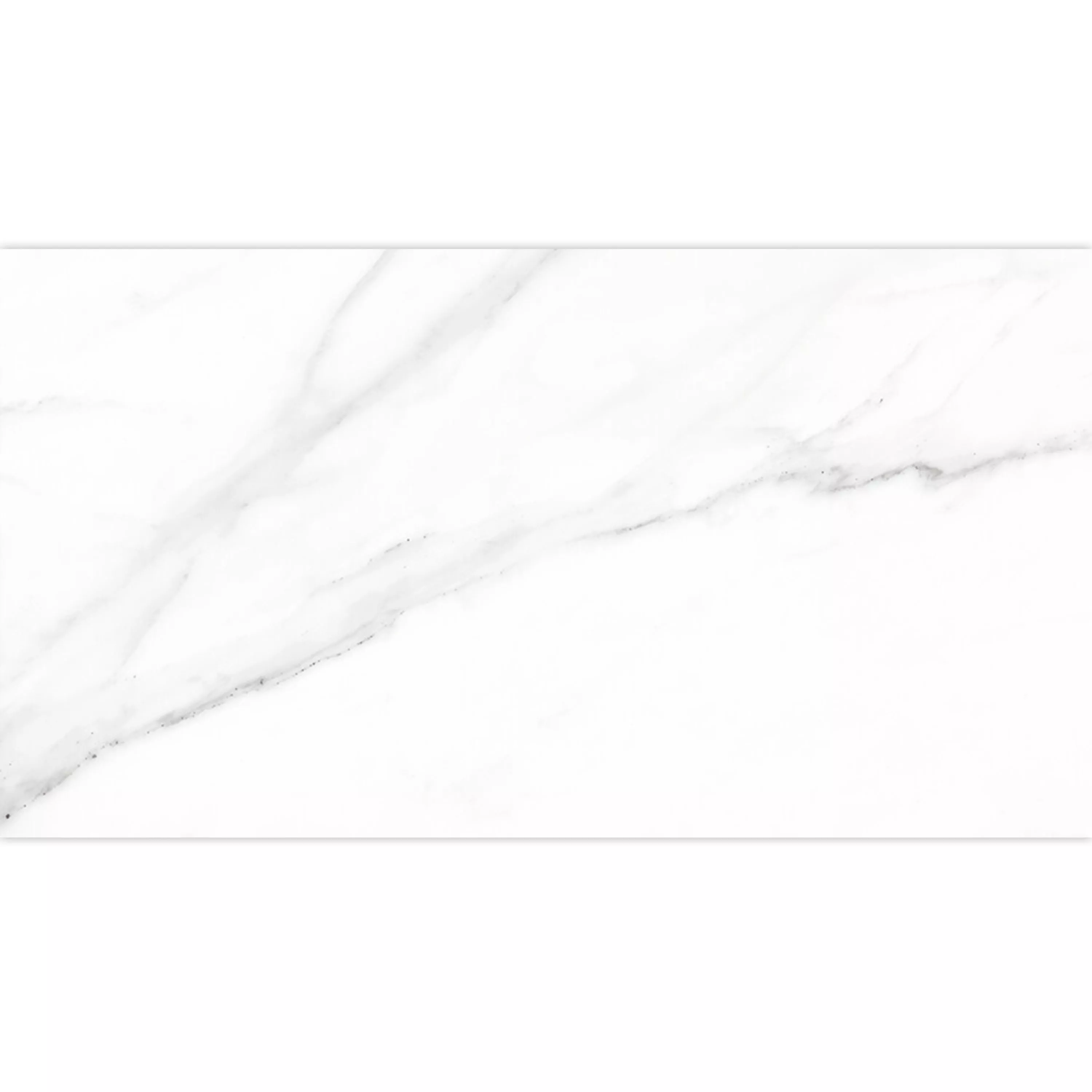 Sample Floor Tiles Arcadia Marble Optic Mat Blanc 30x60cm