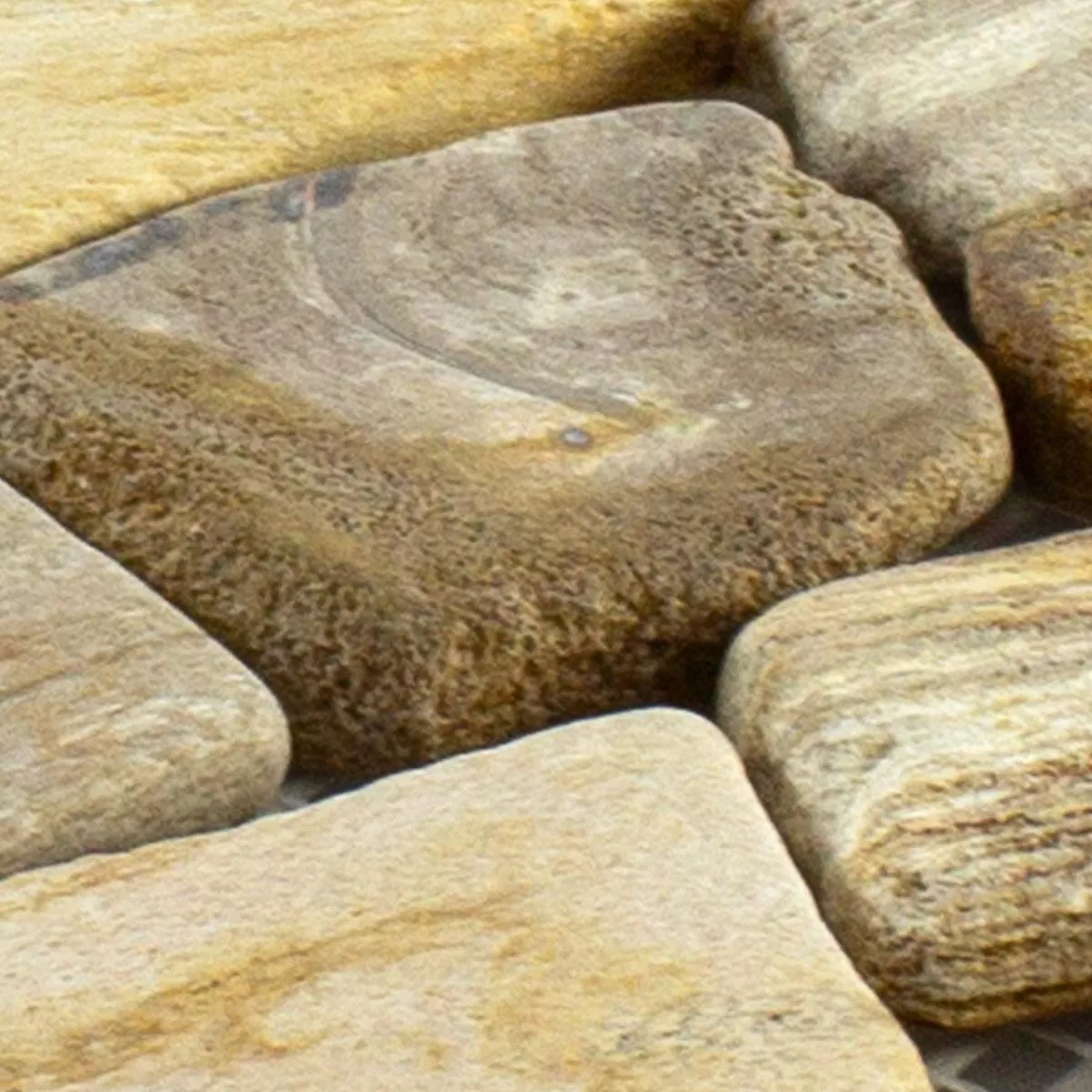 Sample Marble Broken Mosaic Tiles Erdenet Brown Beige