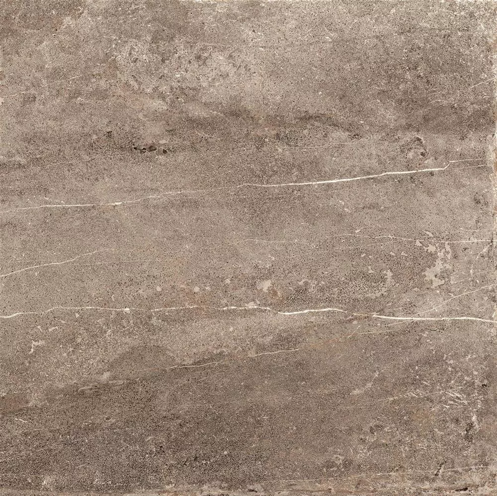 Sample Floor Tiles Detmold Natural Stone Optic 60x60cm Brown