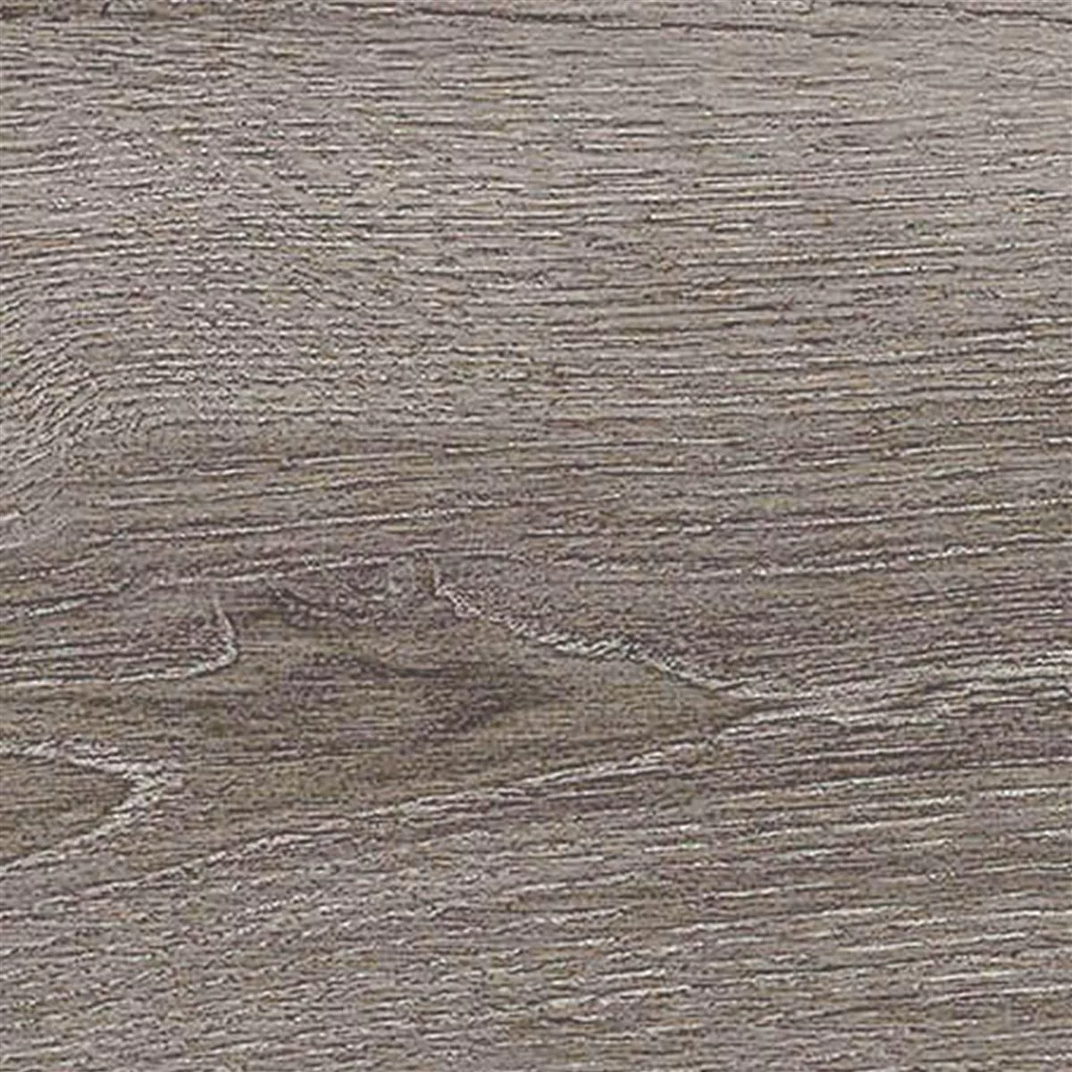 Sample Floor Tiles Regina Wood Optic 20x120cm Silver