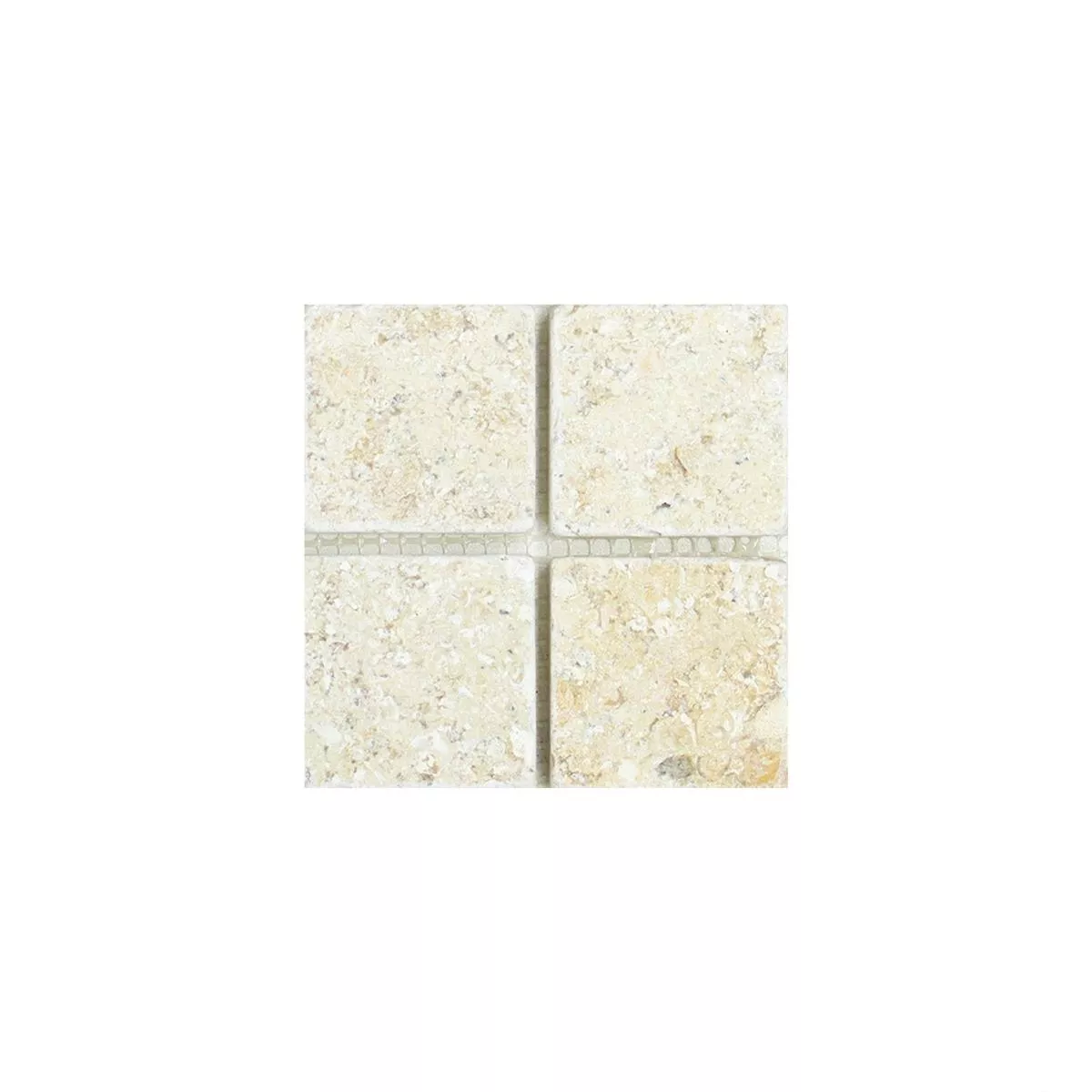 Sample Mosaic Tiles Limestone Garbagna Beige 48