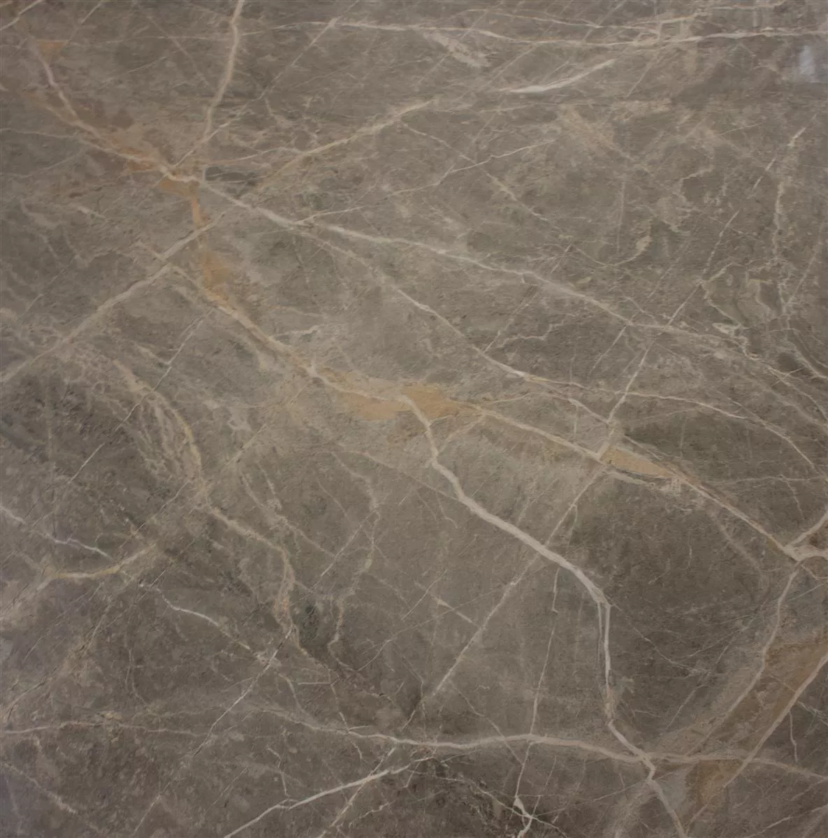 Floor Tiles Zeven Grey Beige Gold Slate Optic 60x60cm Floor Tiles Zeven Grey Beige Gold Slate Optic 60x60cm