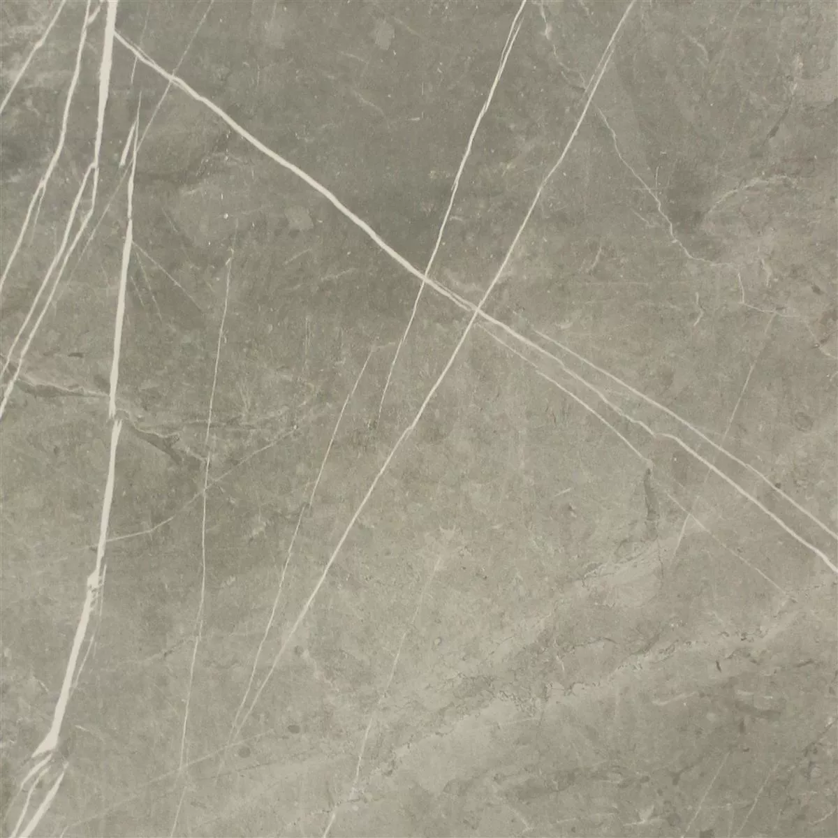 Floor Tiles Astara Natural Stone Optic Polished Grey 60x60cm