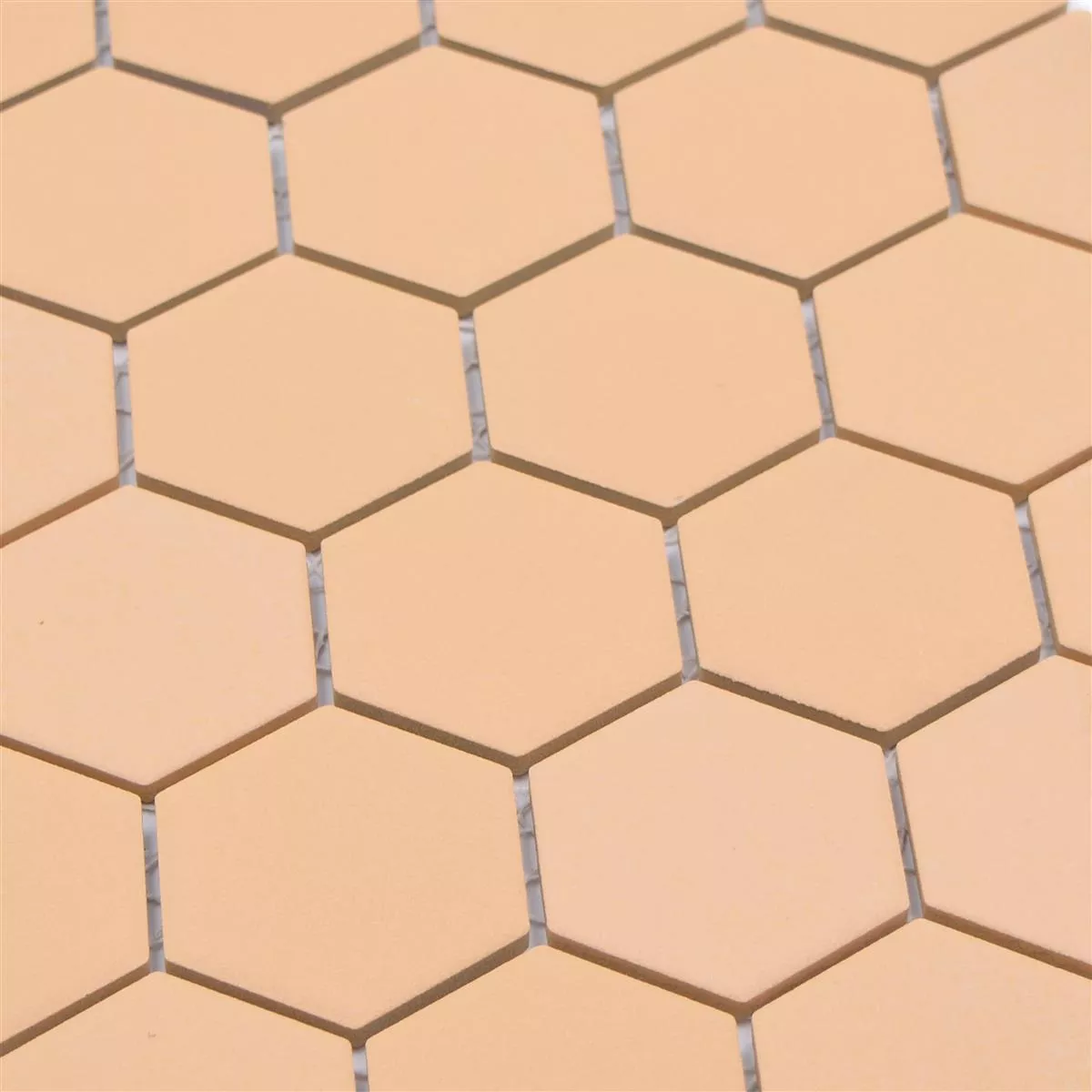 Ceramic Mosaic Bismarck R10B Hexagon Ocher Orange H51
