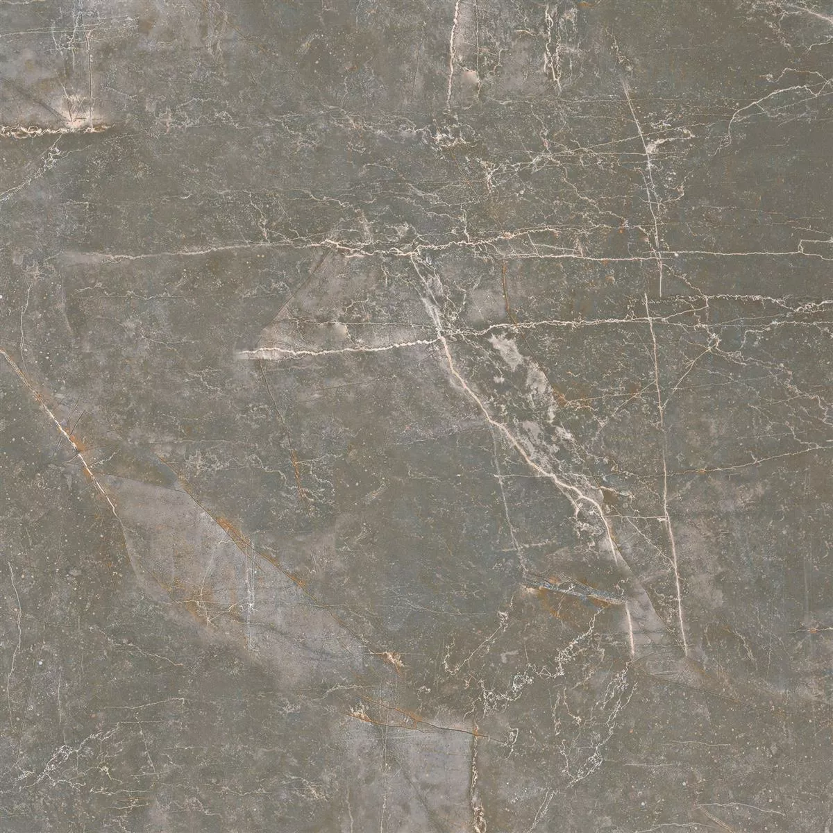 Sample Floor Tiles Novinger Natural Stone Optic Polished Grey