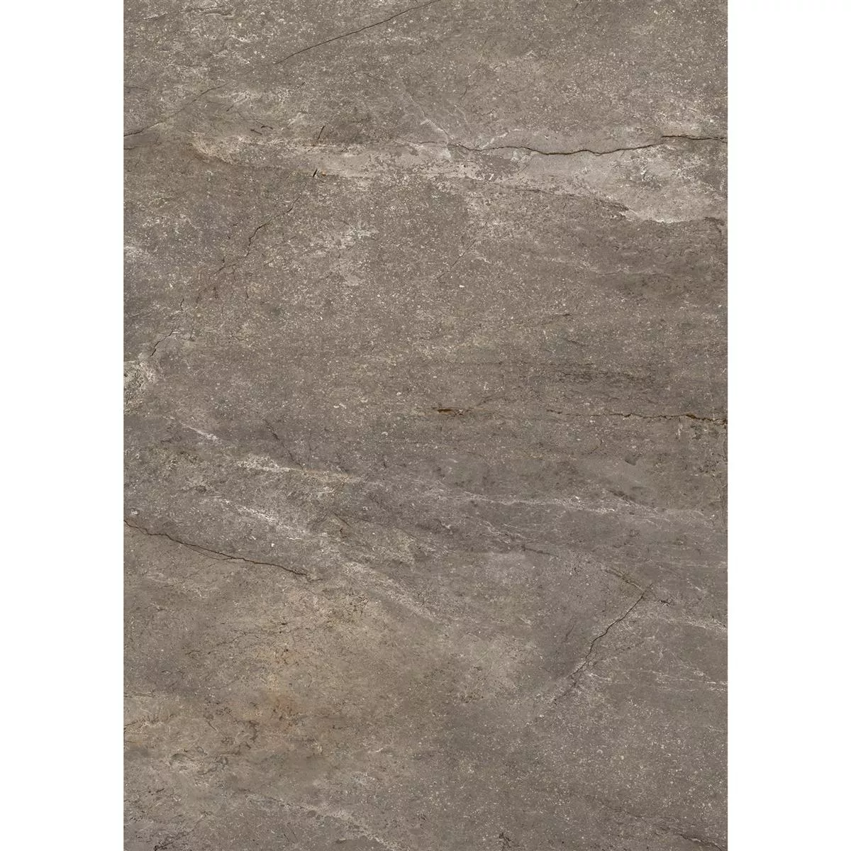Sample Floor Tiles Pangea Marble Optic Mat Mokka 60x120cm