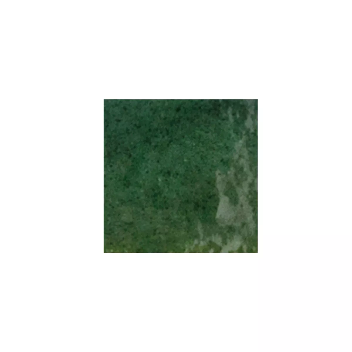 Brazil Grün Glänzend 10x10 cm